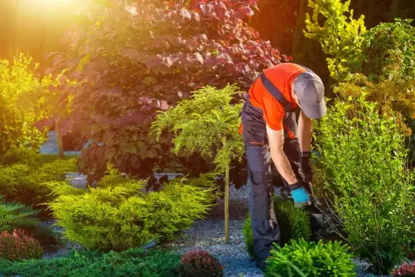 Landscaping Contractor in San Antonio, TX