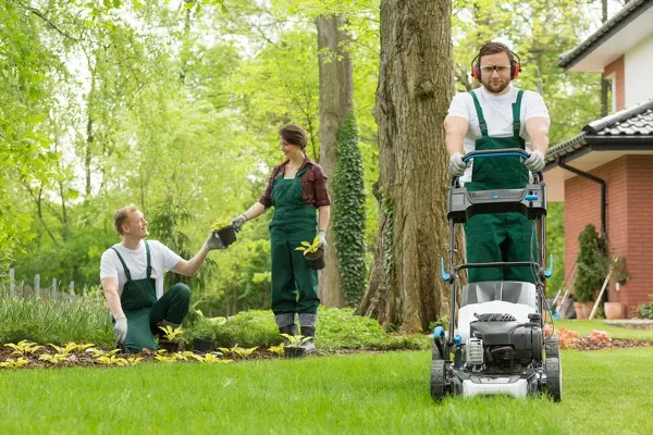 Landscaping Maintenance